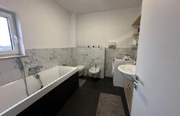 Casa 4 dormitoare, 282 mp - zona Lucian Blaga