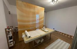 Casa 4 dormitoare, 282 mp - zona Lucian Blaga