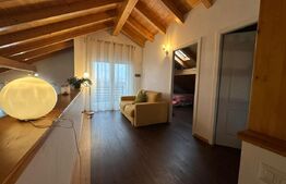 Casa 4 dormitoare, 282 mp - zona Lucian Blaga