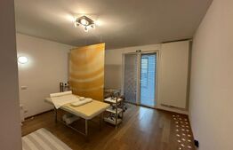 Casa 4 dormitoare, 282 mp - zona Lucian Blaga