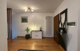 Casa 4 dormitoare, 282 mp - zona Lucian Blaga