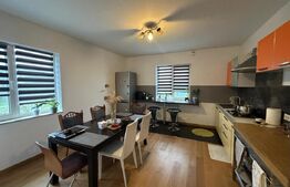 Casa 4 dormitoare, 282 mp - zona Lucian Blaga