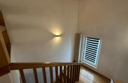 Casa 4 dormitoare, 282 mp - zona Lucian Blaga