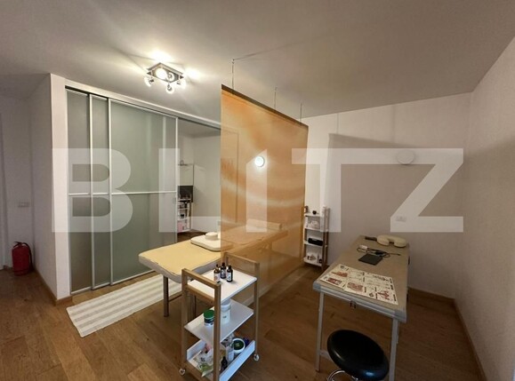 Casa de vânzare 7 camere Lucian Blaga - 184650CV | BLITZ Satu Mare | Poza21