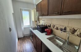 Apartament cu 2 camere de vanzare, 41,63 mp, strada Botizului
