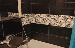 Apartament 2 camere, 41 mp, strada Botizului