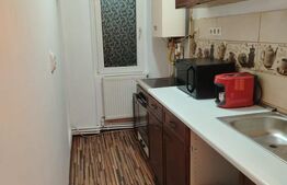 Apartament 2 camere, 41 mp, strada Botizului