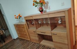 Apartament 2 camere, 41 mp, strada Botizului