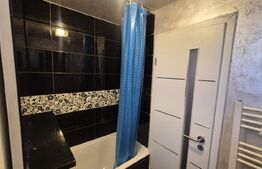 Apartament cu 2 camere de vanzare, 41,63 mp, strada Botizului