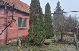 Casa 4 dormitoare, 190 mp, 1306 mp teren, zona Careiului