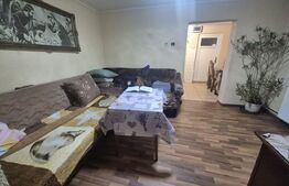 Casa cu 4 dormitoare de vanzare, 190 mp, 1306 mp teren, pe strada Careiului