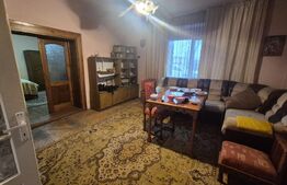 Casa 4 dormitoare, 190 mp, 1306 mp teren, zona Careiului