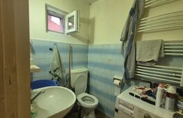 Casa 4 dormitoare, 190 mp, 1306 mp teren, zona Careiului