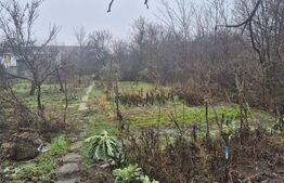 Casa 4 dormitoare, 190 mp, 1306 mp teren, zona Careiului