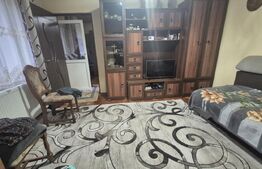 Casa cu 4 dormitoare de vanzare, 190 mp, 1306 mp teren, pe strada Careiului