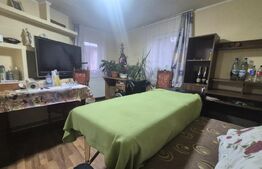 Casa 4 dormitoare, 190 mp, 1306 mp teren, zona Careiului