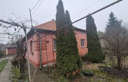 Casa cu 4 dormitoare de vanzare, 190 mp, 1306 mp teren, pe strada Careiului
