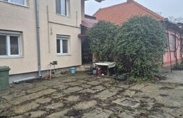 Casa 4 dormitoare, 190 mp, 1306 mp teren, zona Careiului