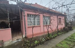 Casa 4 dormitoare, 190 mp, 1306 mp teren, zona Careiului