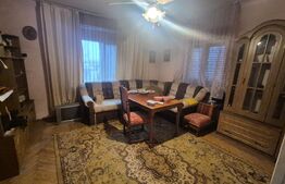 Casa cu 4 dormitoare de vanzare, 190 mp, 1306 mp teren, pe strada Careiului