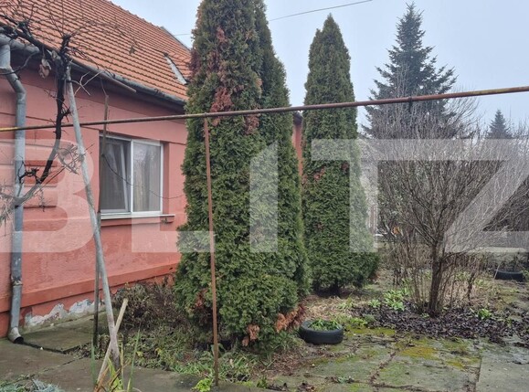 Casa de vânzare 7 camere Careiului - 184952CV | BLITZ Satu Mare | Poza3