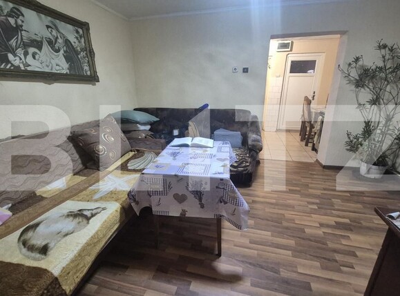 Casa de vânzare 7 camere Careiului - 184952CV | BLITZ Satu Mare | Poza7