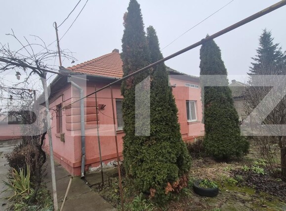 Casa de vânzare 7 camere Careiului - 184952CV | BLITZ Satu Mare | Poza4
