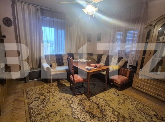 Casa de vânzare 7 camere Careiului - 184952CV | BLITZ Satu Mare | Poza3