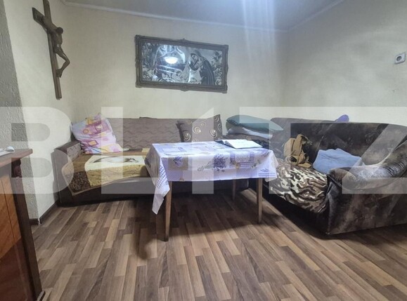 Casa de vânzare 7 camere Careiului - 184952CV | BLITZ Satu Mare | Poza8