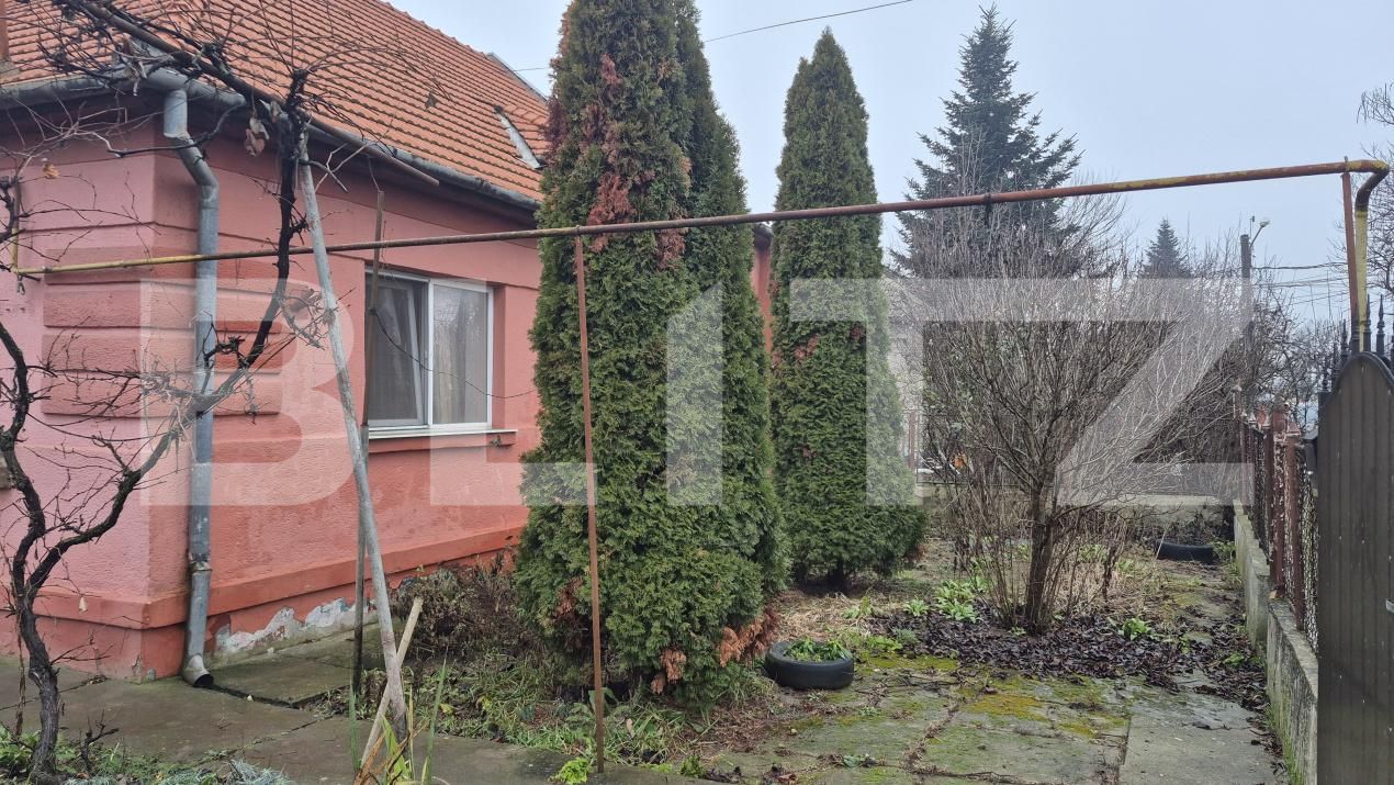 Casa de vânzare 7 camere Careiului - 184952CV | BLITZ Satu Mare | Poza13