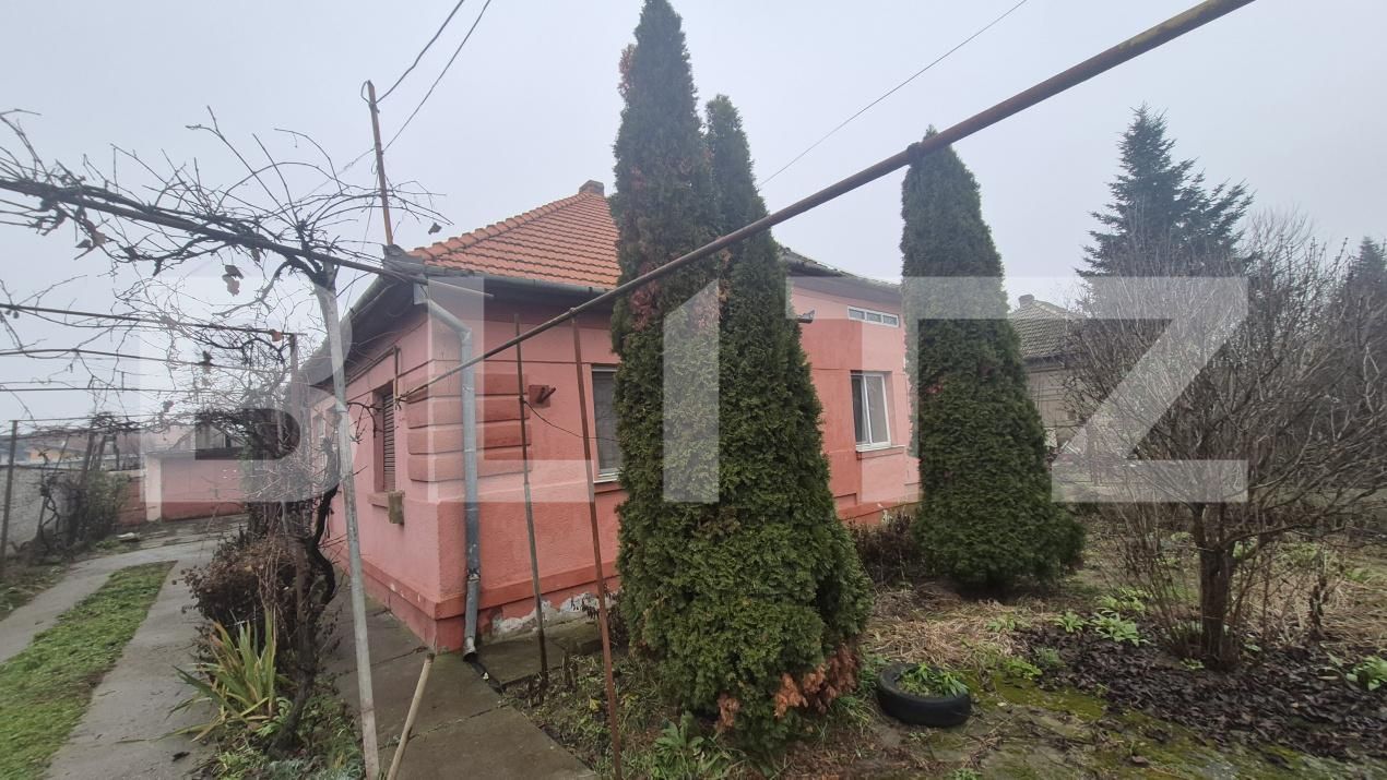 Casa de vânzare 7 camere Careiului - 184952CV | BLITZ Satu Mare | Poza4