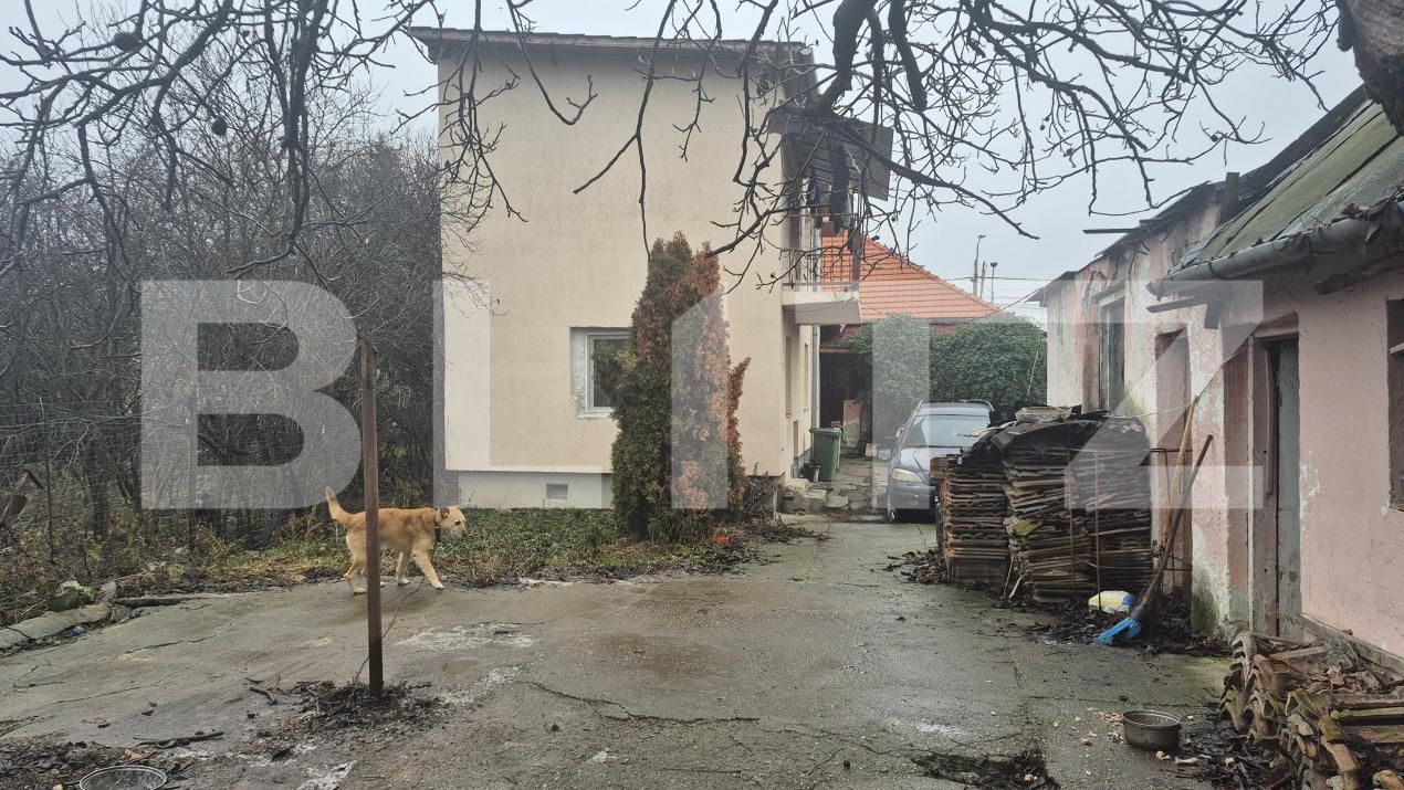 Casa de vânzare 7 camere Careiului - 184952CV | BLITZ Satu Mare | Poza16