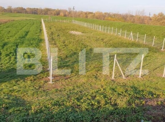 Teren de vânzare Exterior Est - 184981TV | BLITZ Satu Mare | Poza1
