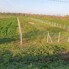 Teren de vânzare Exterior Est - 184981TV - Poza 1 din 1 | BLITZ Satu Mare | Poza1