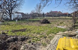 Casa cu 4 dormitoare de vanzare, 180 mp, teren 1487 mp, in localitatea Lazuri