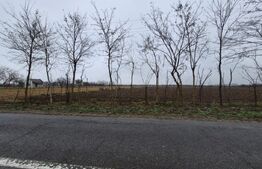 Teren intravilan de vanzare, 2.500 mp, Str Gorunului, zona Aqua Star