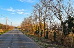 Teren intravilan de vanzare, 2.500 mp, Str Gorunului, zona Aqua Star