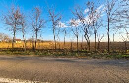 Teren intravilan de vanzare, 2.500 mp, Str Gorunului, zona Aqua Star