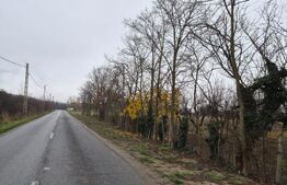 Teren intravilan de vanzare, 2.500 mp, Str Gorunului, zona Aqua Star