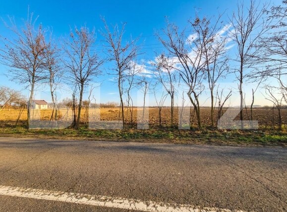 Teren de vânzare Nord - 185535TV | BLITZ Satu Mare | Poza3