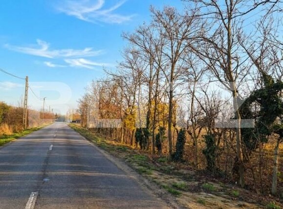 Teren de vânzare Nord - 185535TV | BLITZ Satu Mare | Poza4