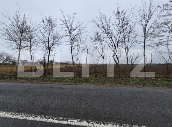 Teren de vânzare Sud - 185535TV | BLITZ Satu Mare | Poza2