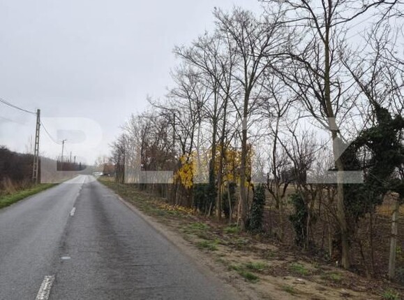 Teren de vânzare Nord - 185535TV | BLITZ Satu Mare | Poza3