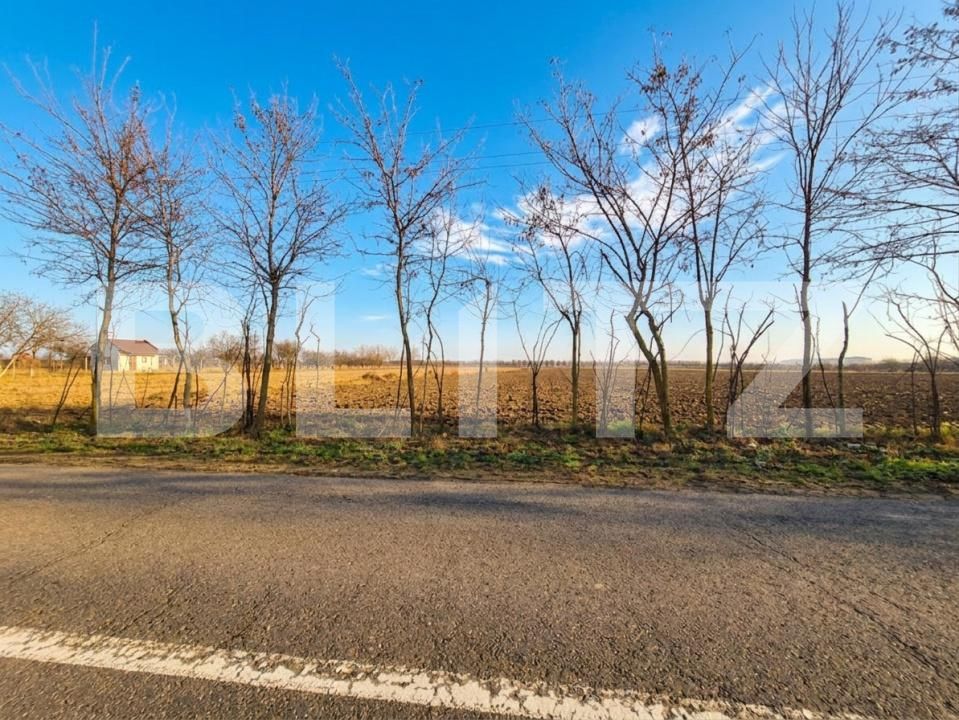 Teren de vânzare Nord - 185535TV | BLITZ Satu Mare | Poza3