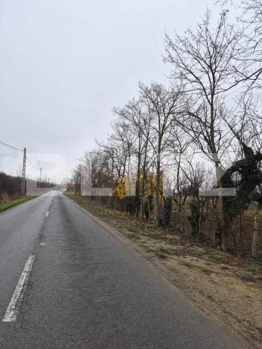 Teren de vânzare Sud - 185535TV | BLITZ Satu Mare | Poza3