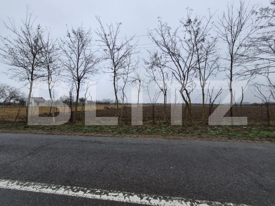 Teren de vânzare Nord - 185535TV | BLITZ Satu Mare | Poza2