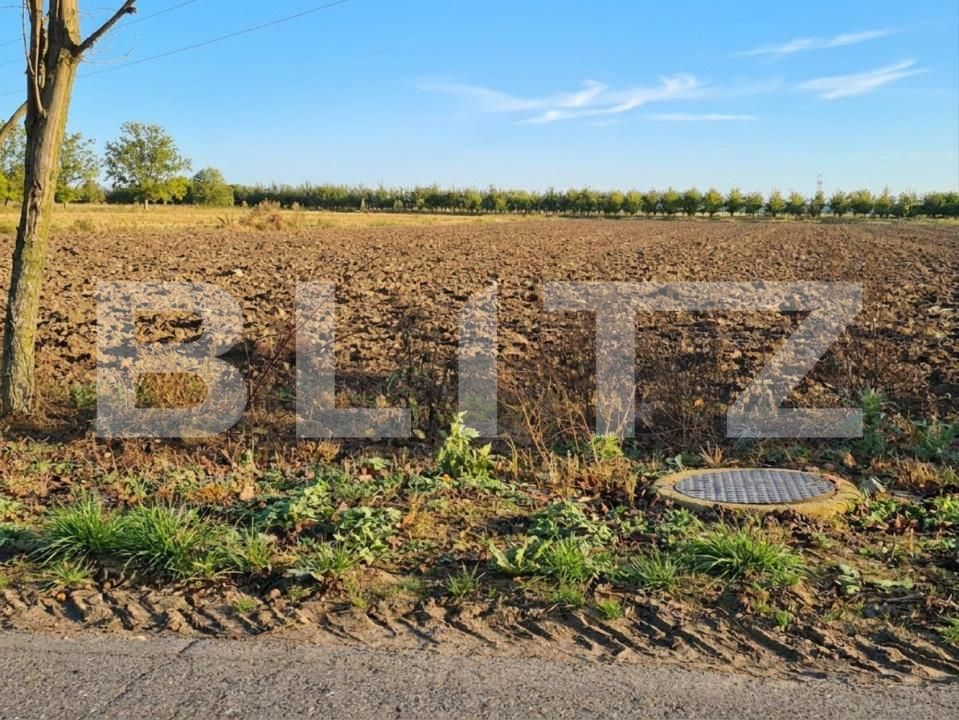 Teren de vânzare Nord - 185535TV | BLITZ Satu Mare | Poza2