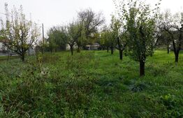 Casă 140 mp, cu teren 3.800 mp, Tătărăști