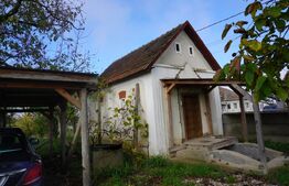 Casă 140 mp, cu teren 3.800 mp, Tătărăști