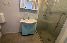 Casă 140 mp, cu teren 3.800 mp, Tătărăști